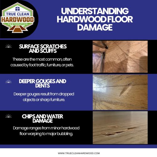 understanding hardwood floor damage